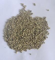  Piper   nigrum  Extract