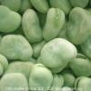  frozen   broad   bean s