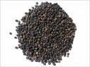 Black pepper 500