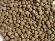 pellet fish feed