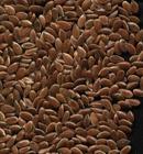  Flaxseed  Extract