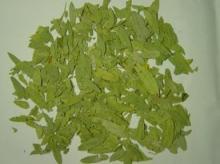 Nettle P.E.