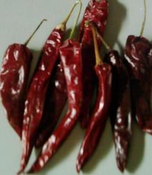 America chilli