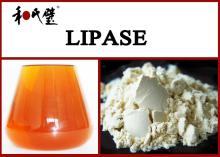  Lipase   enzyme  additive