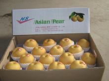  Asian   Pear s