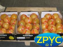 fresh PingHe honey pomelo