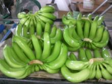 BEST  PHILIPPINE   CAVENDISH   BANANA S