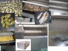 vegetable washer