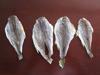 Dried yellow  croaker  fillet