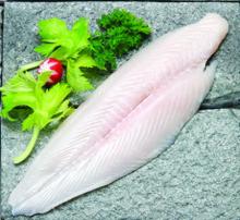 Frozen Basa Fillet