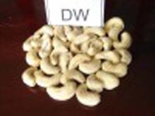 cashew nuts kernel DW