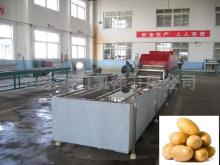 potato  cleaning   machine 
