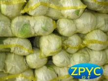 Round cabbage