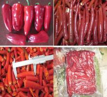 supply chinese high quality frozen chilis