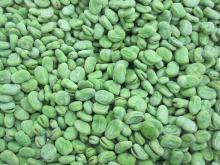 IQF BROAD BEANS