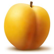 IQF apricot or Frozen Apricot