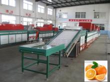  orange  cleaning and waxing machine