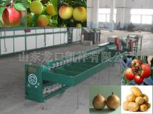 auto feeder fruit grading machine