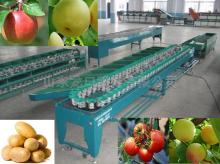 ellipse fruit grading machine for apple orange onion potato etc.