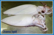  FROZEN   SQUID   WHOLE   CLEANED  SKINLESS