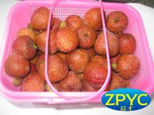 fresh chinese Lychee