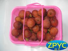 Fresh and Sweet Lychees(Lichi)