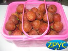 Fresh Lichi