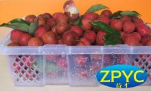 sweet Lychee