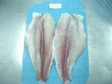  Pangasius  Hypophthalmus  fillet 