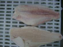 Frozen pangasius Fillet (Pangasius hypophthalmus) Un-trimmed, fat on, belly on, red meat