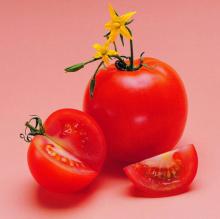 5%-90%Lycopene