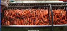  Fresh   preserved   Carrots 