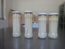 canned white aspagagus 370ml