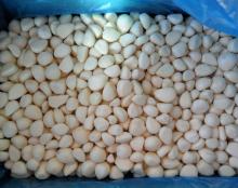 frozen peeled garlic cloves