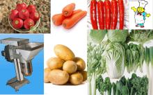 vegetable grinder