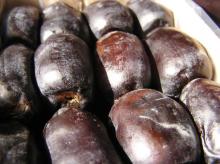  Mazafati   Dates 