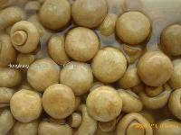  IQF  Blenched  mushroom   whole 