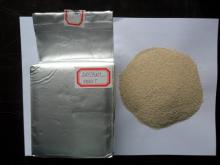 yeast