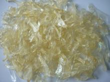 Fish Gelatin