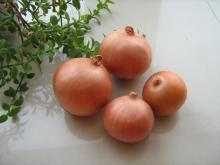 2011 NEW FRESH YELLOW ONION