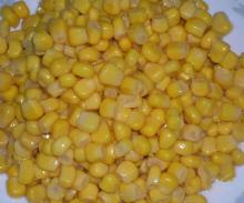 Canned Sweet Corn kernels Vacuum packed 340g /285g