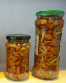 Canned Marinated Nameko Mushrooms 314ml / 580ml /720ml
