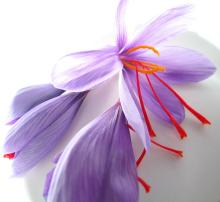 saffron