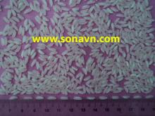 Sell Medium round rice good quality