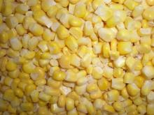 supply frozen sweet corn