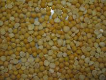 Yellow  split   peas 