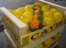 mayer lemon