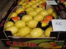 enterdonat lemon