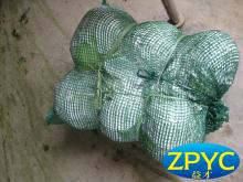 Round cabbage wrapped