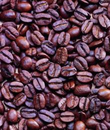 best quality coffee bean manufacturer supply